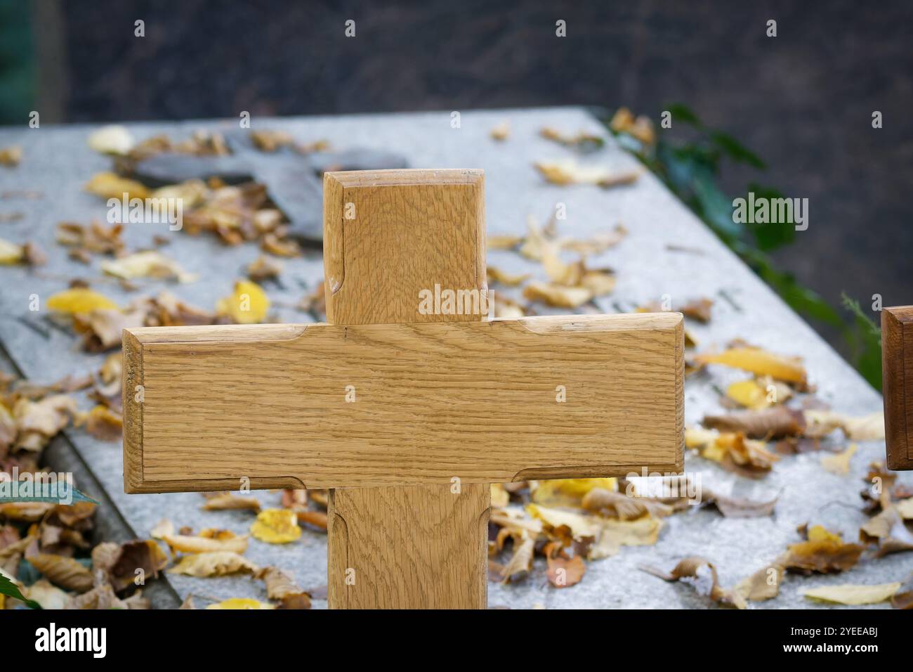 Ein unmarkiertes Holzkreuz vor einer hellen Marmorgrabplatte mit Herbstblättern auf unscharfem Hintergrund Stockfoto