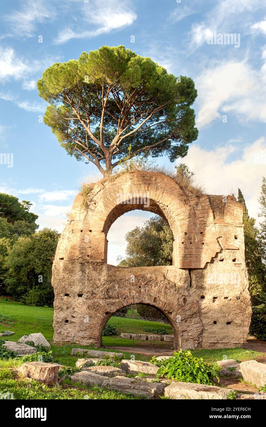 Ein alter Steinbogen mit einem üppigen grünen Baum, der direkt dahinter wächst, vor einem hellblauen Himmel, der historische Ruinen mit der Natur verbindet Stockfoto