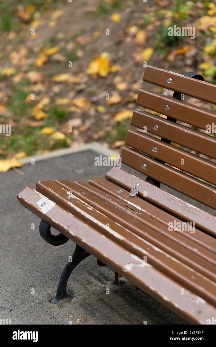 Eine abgenutzte Holzbank sitzt ruhig in einem Park, eingerahmt von verstreuten Herbstblättern, was eine friedliche Atmosphäre schafft, die typisch für einen frischen Herbstnachmittag ist. Hochwertiges vertikales Foto Stockfoto