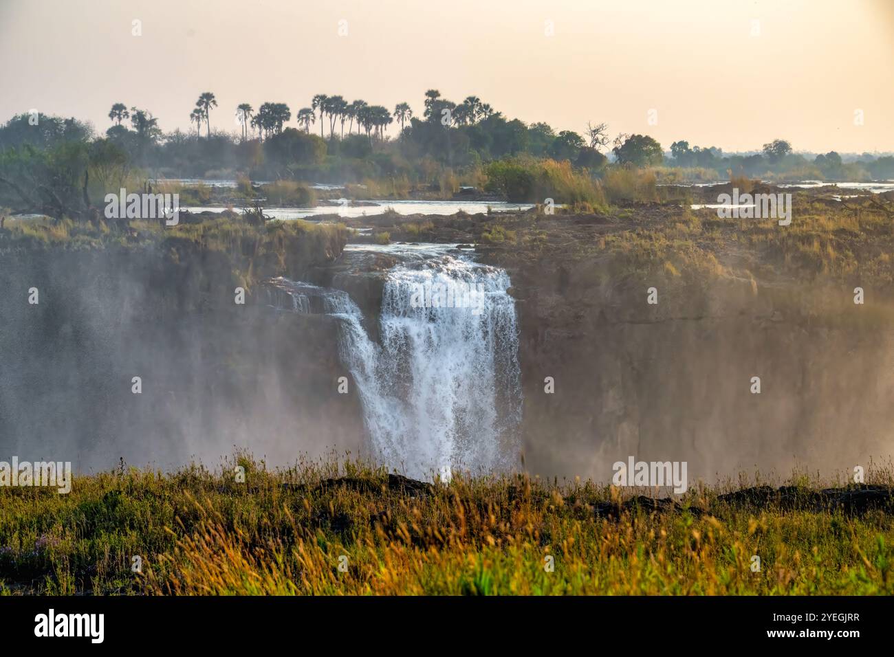 Ein atemberaubender Blick auf einen mächtigen Wasserfall umgeben von üppigem Grün, der die Schönheit der Natur und den beeindruckenden Wasserfluss zeigt. Farne Stockfoto