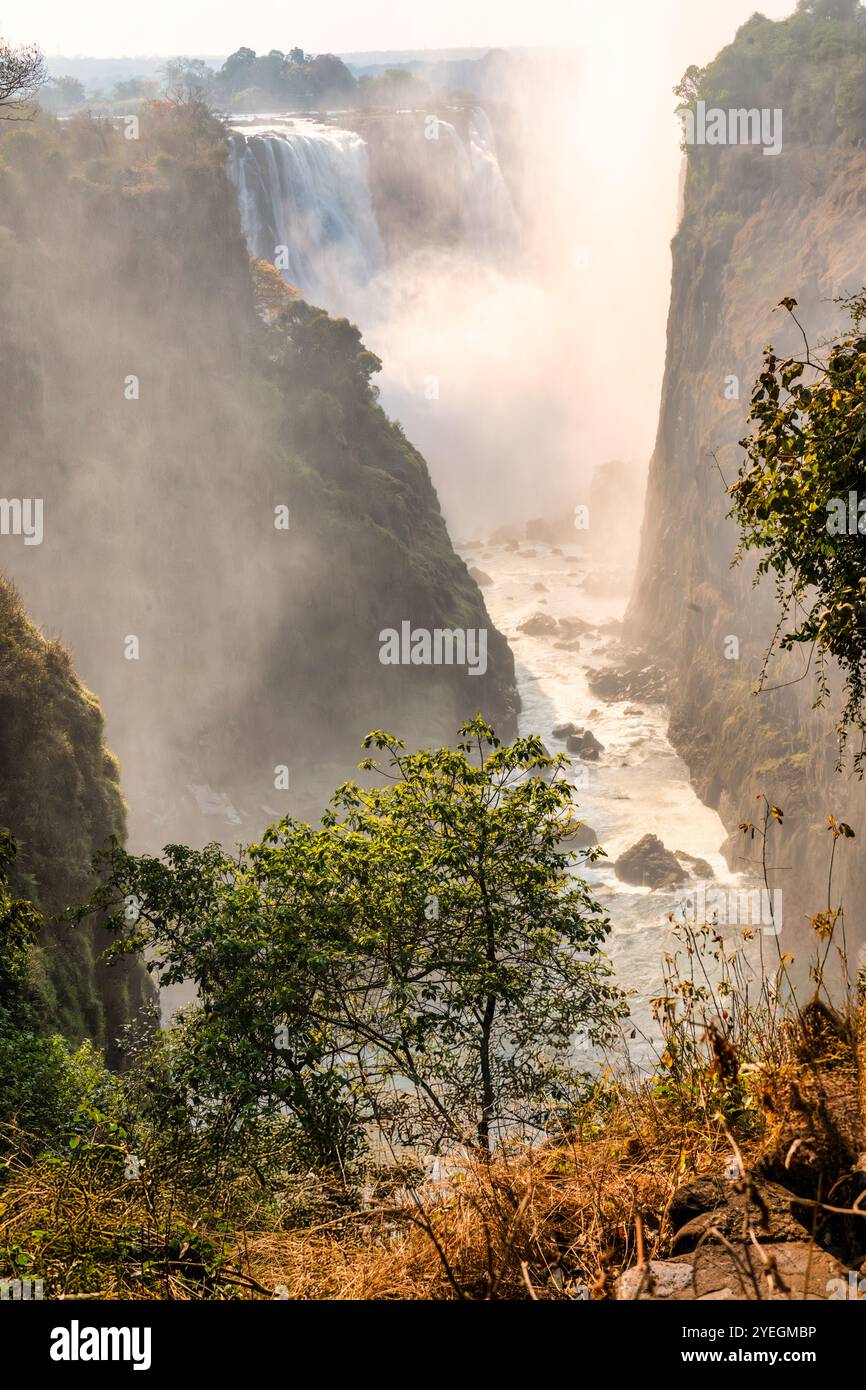 Eine nebelige Schlucht zeigt einen dramatischen Wasserfall inmitten von Klippen, umgeben von Nebel, was die ungezähmte Schönheit und Ruhe der Natur andeutet. Stockfoto