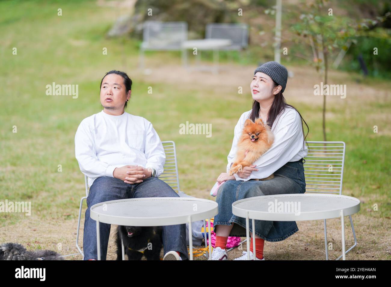 Ein koreanischer Mann und eine Japanerin, beide im Alter von 30 Jahren und ein verheiratetes Paar, genießen in einem stilvollen Café im Herbst einen Brunch mit drei Hunden Stockfoto