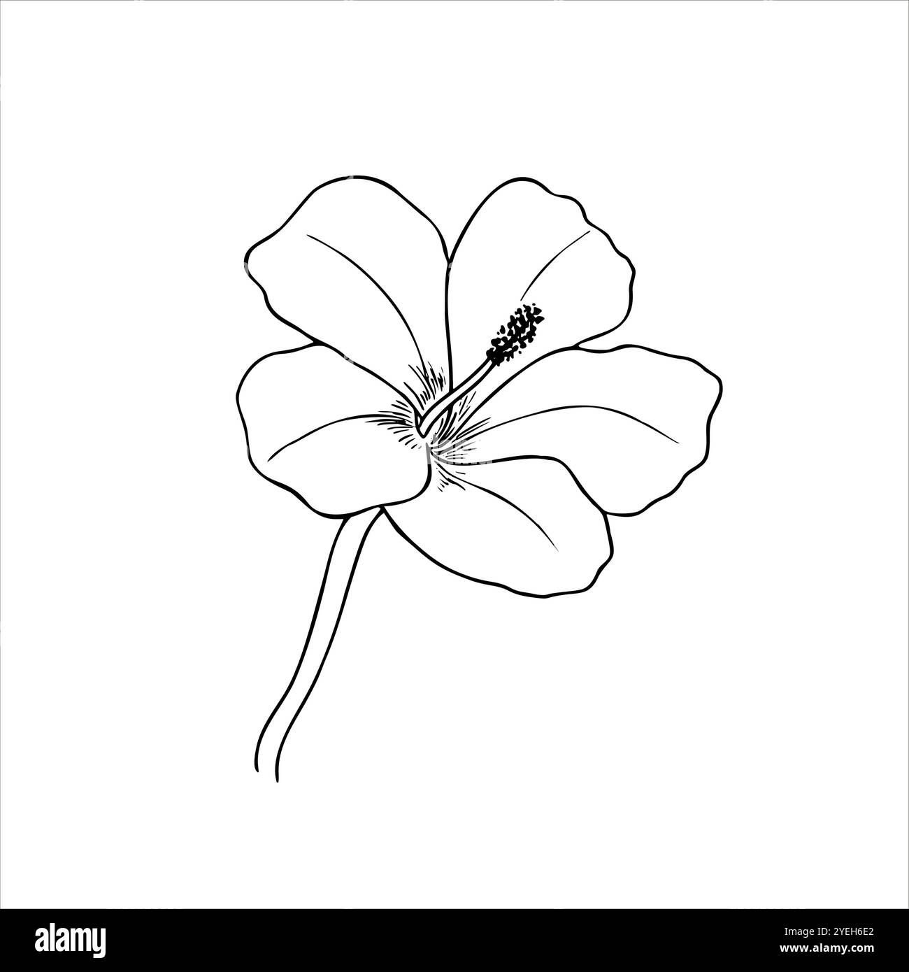 Einfache blühende chinesische Rose Blume Vektor isolierte Illustration gemalt von schwarzen Tinten. Hibiskus in der blühenden monochromen Linienzeichnung. Stock Vektor