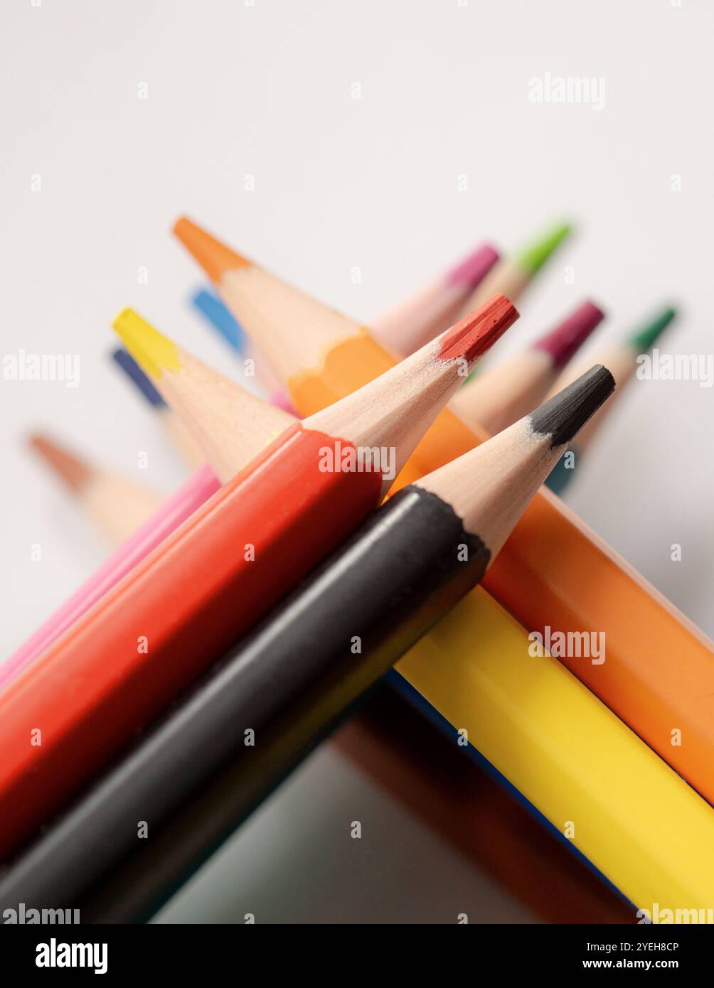Set mit bunten Bleistiften auf weißem Hintergrund. Vertikale Nahaufnahme , Makrofoto. Stockfoto