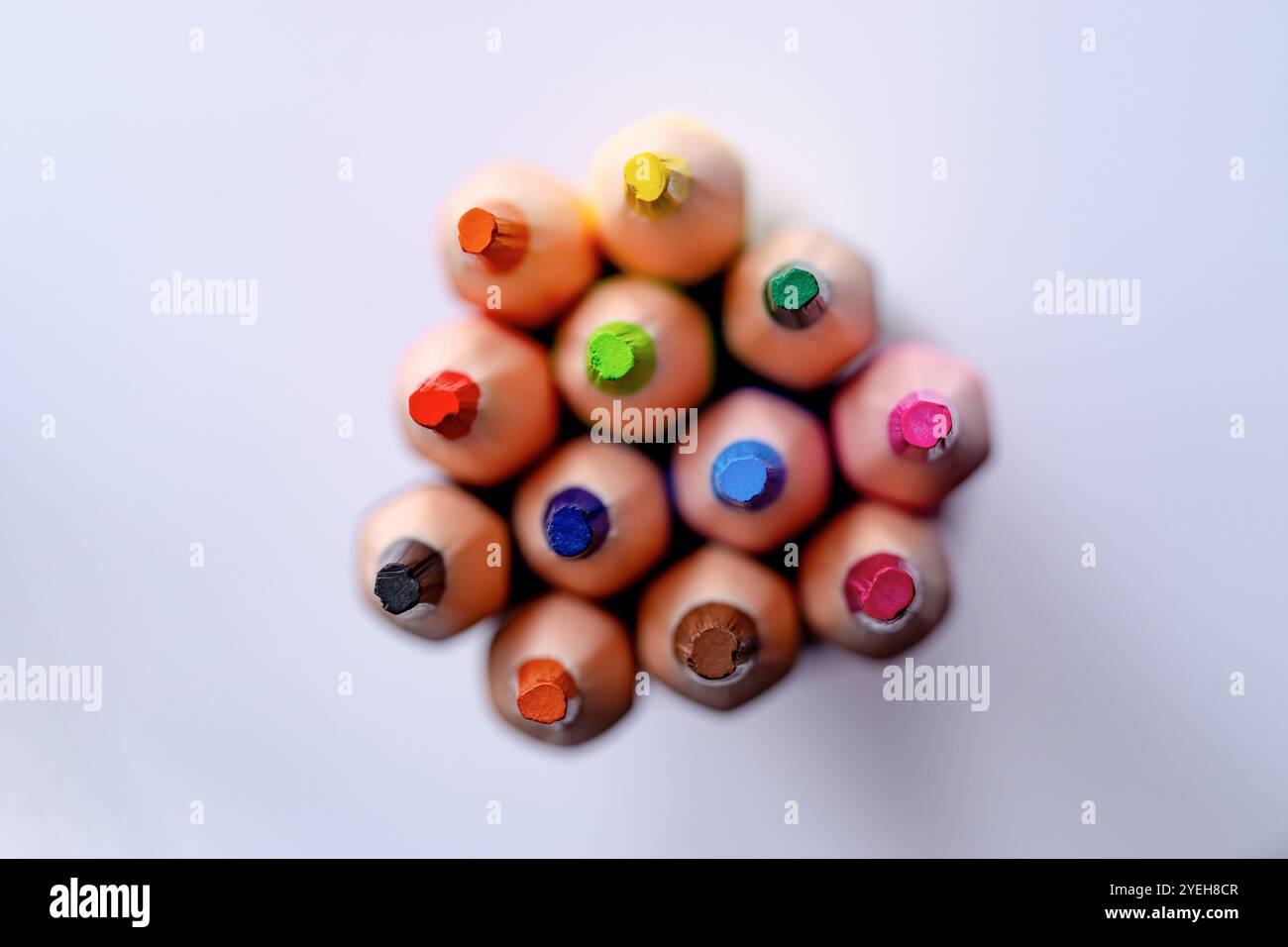 Set mit bunten Bleistiften auf weißem Hintergrund. Nahaufnahme , Makrofoto. Stockfoto