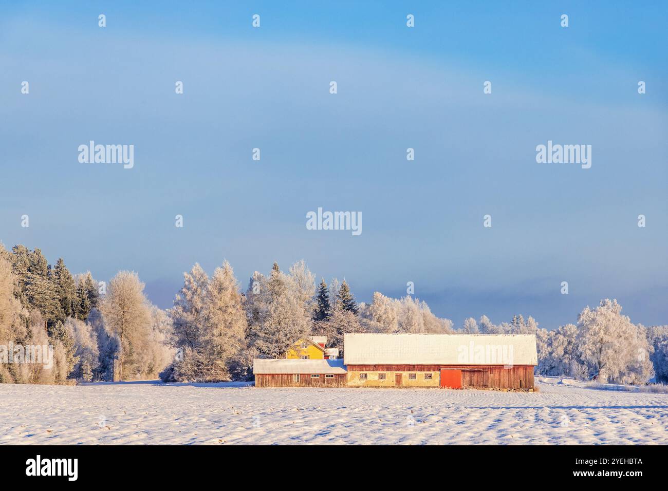 Rote Scheune an einem schneebedeckten Feld ein kalter Wintertag auf dem Land Stockfoto