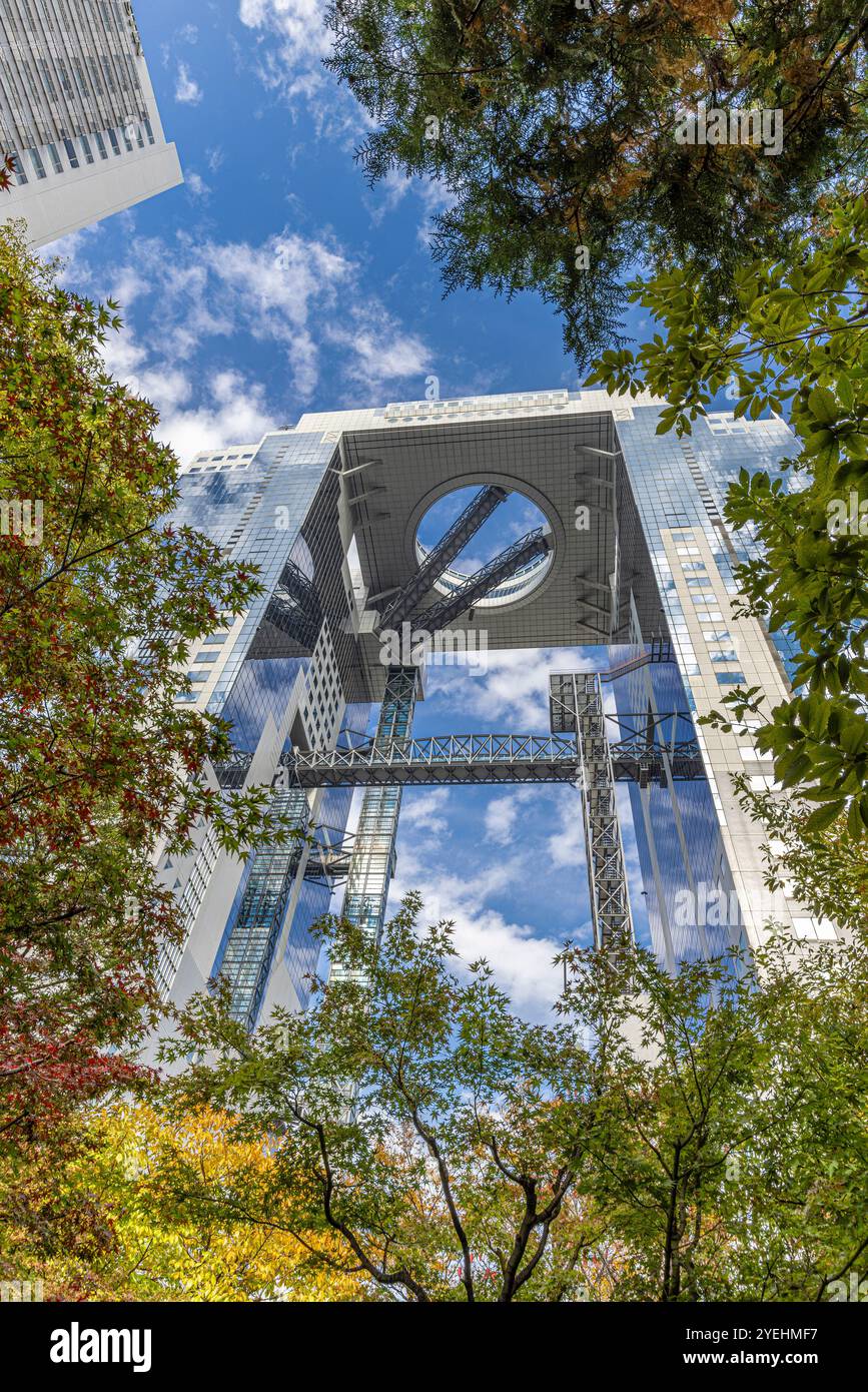 Flacher Blick auf das umeda-Himmelsgebäude mit Herbstlaub in osaka, japan Stockfoto