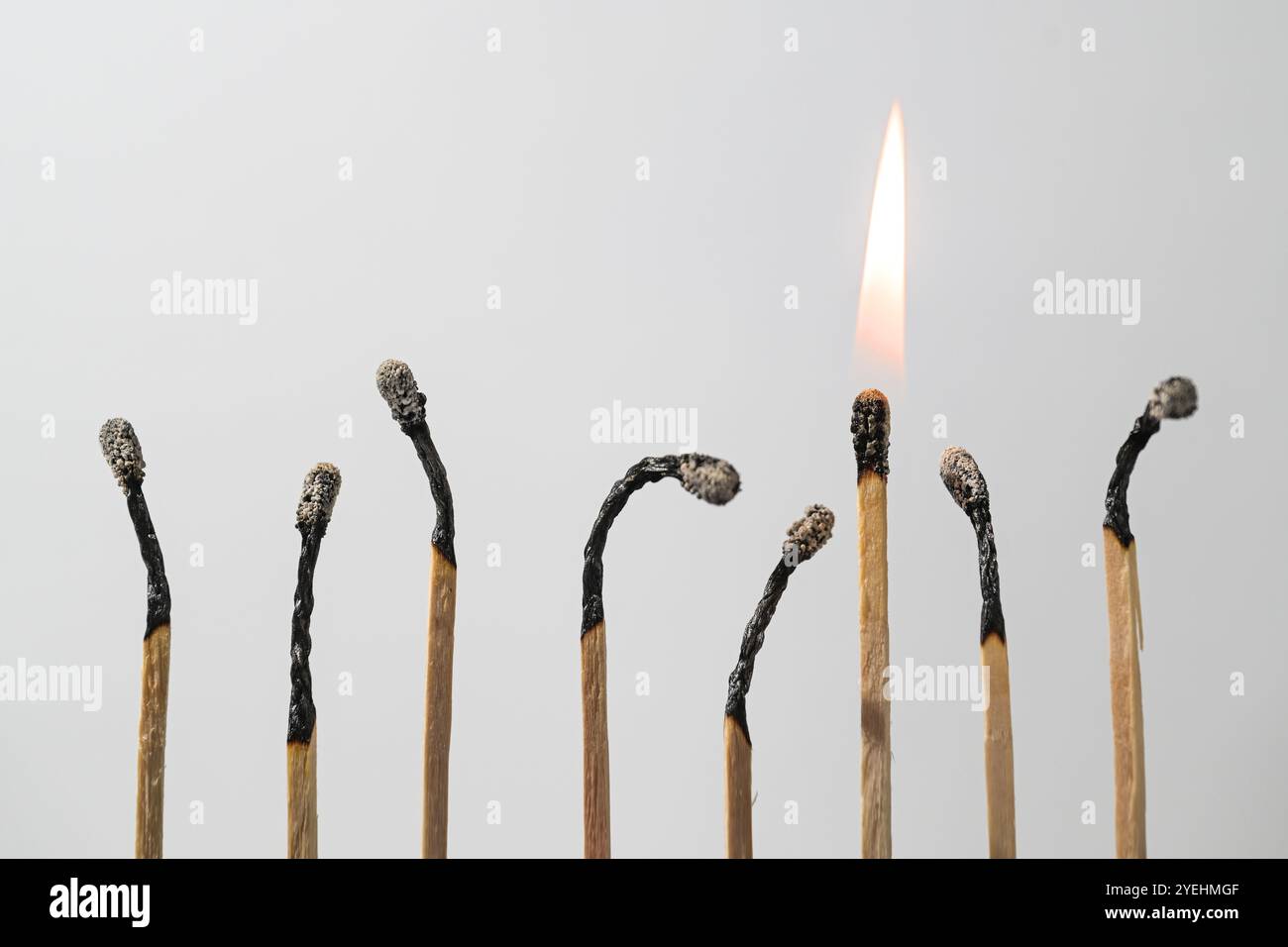 Eine Reihe verbrannter Streichhölzer brennt länger mit seiner Flamme, Konzept für Widerstandsfähigkeit, Ausdauer und Führung im Team, heller Hintergrund mit Kopie Stockfoto