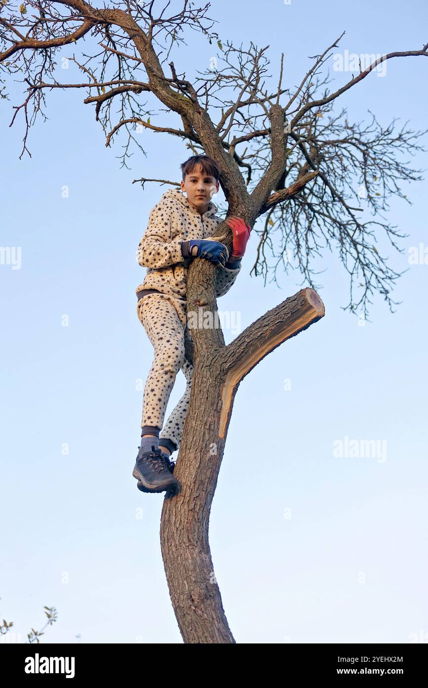 Teenager, hängt an einem Baum, der gerade ausgeschnitten wird, Herbstzeit Stockfoto