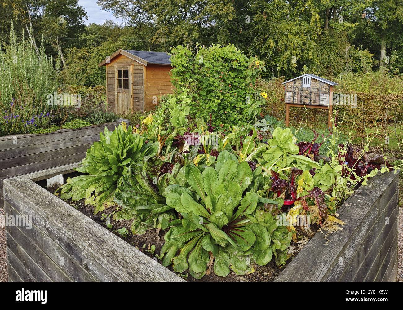 Hochbeet mit Garten im Emscherland, Gartensponsoring von Jugend in Arbeit e.V., Naturerlebnis-Park, Recklinghausen, Deutschland, Europa Stockfoto