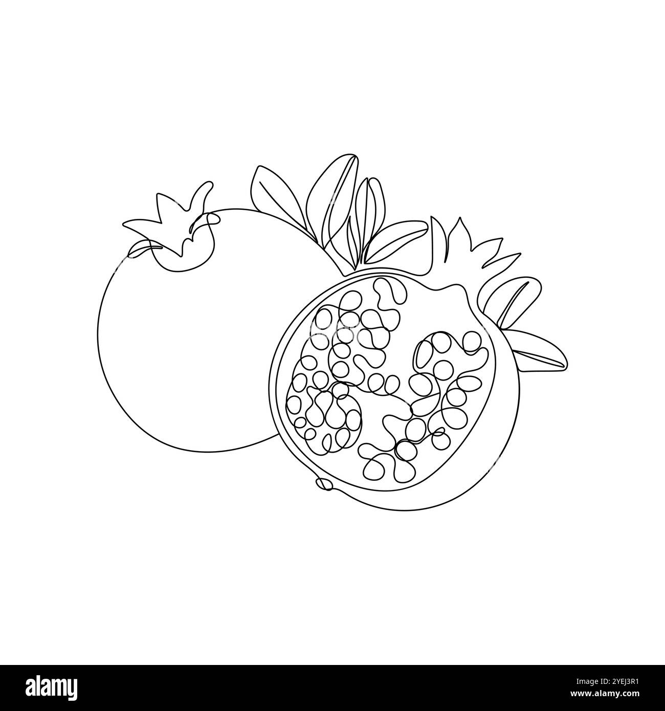 Granatapfelfrucht in einzeiliger Zeichnung. Ganze und halbe geschnittene gesunde Bio-Granatapfel. Handgezeichnete Vektorgrafik. Stock Vektor
