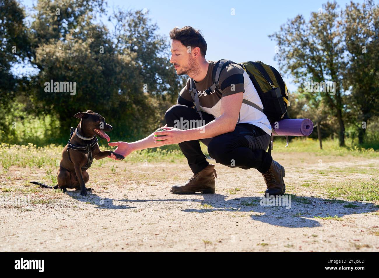 Mann, der Hund ausbildet, um im Park Pfoten zu geben Stockfoto