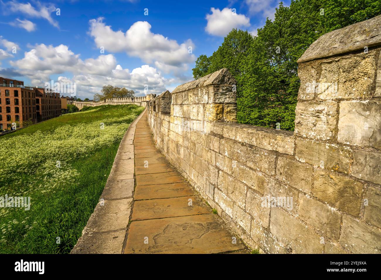 Alte mittelalterliche Stadtmauern in York, England, Großbritannien. Die Bar Walls, York City Walls oder die römischen Mauern sind die intaktesten in England. Stockfoto