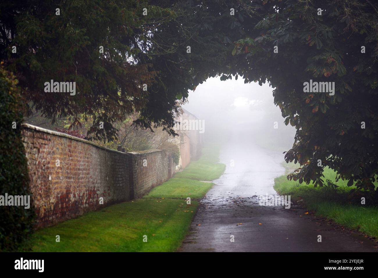 Nebel und Nebel unterscheiden sich davon, wie weit man durch sie hindurchsehen kann. Nebel ist dichter als Nebel und hält tendenziell länger. Nebelige Bedingungen, Reise, mystisch Stockfoto