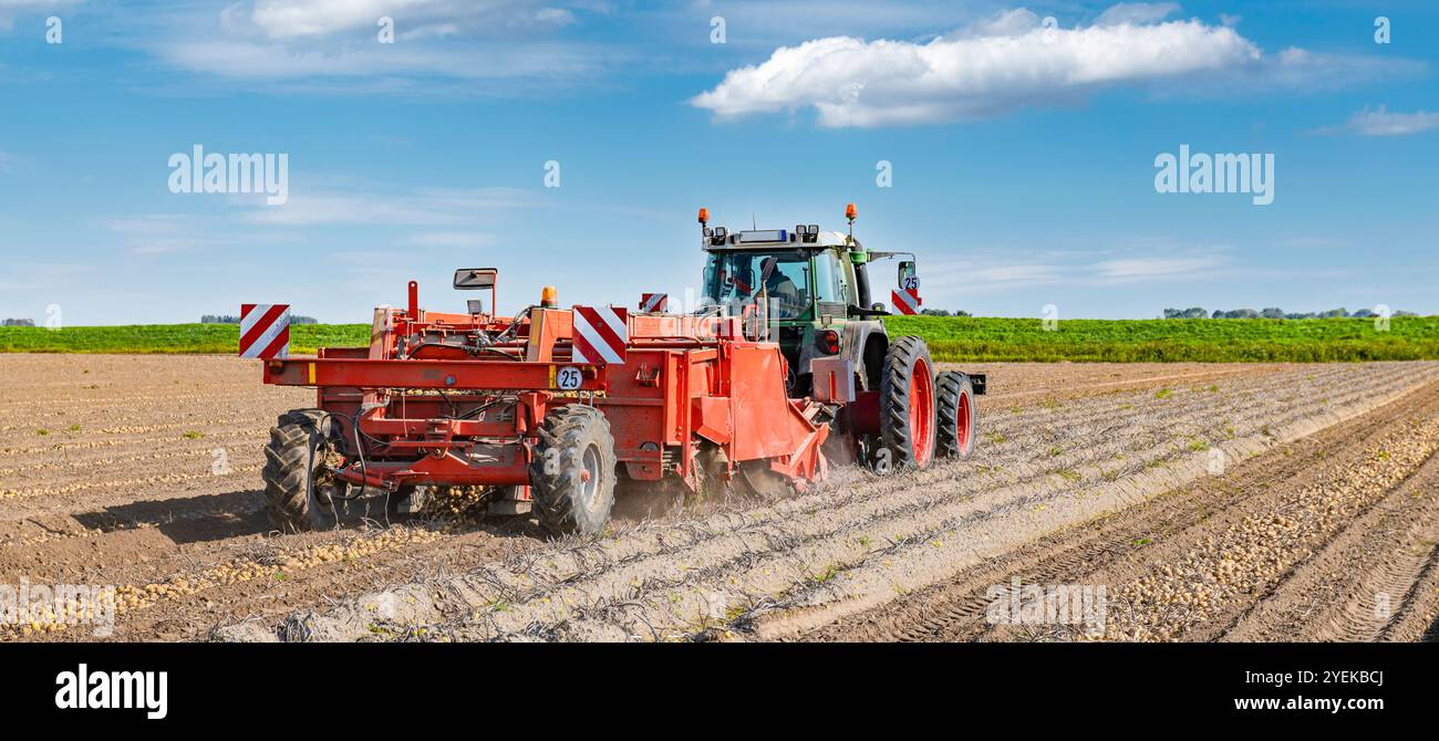 Traktor mit Kartoffelbagger auf dem Feld - 3893 Stockfoto