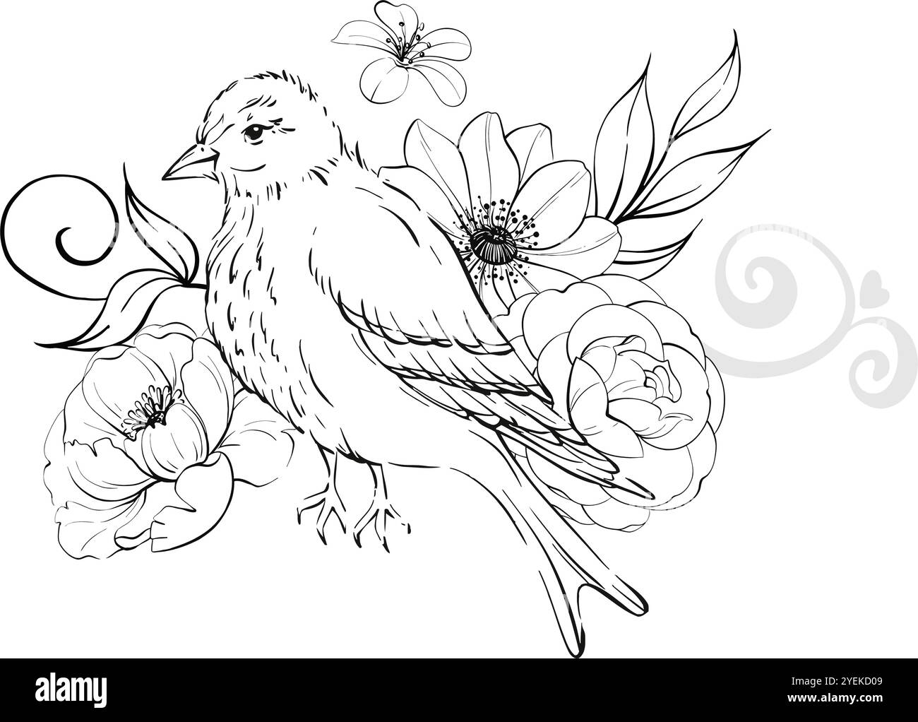 Viktorianischer Vogel und Rosen, Grenze. Vintage Blumen, botanisches Arrangement. Romantische Anemone und Pfingstrose. Für Grußkarten, Hochzeit, Stoff, Druck Stock Vektor