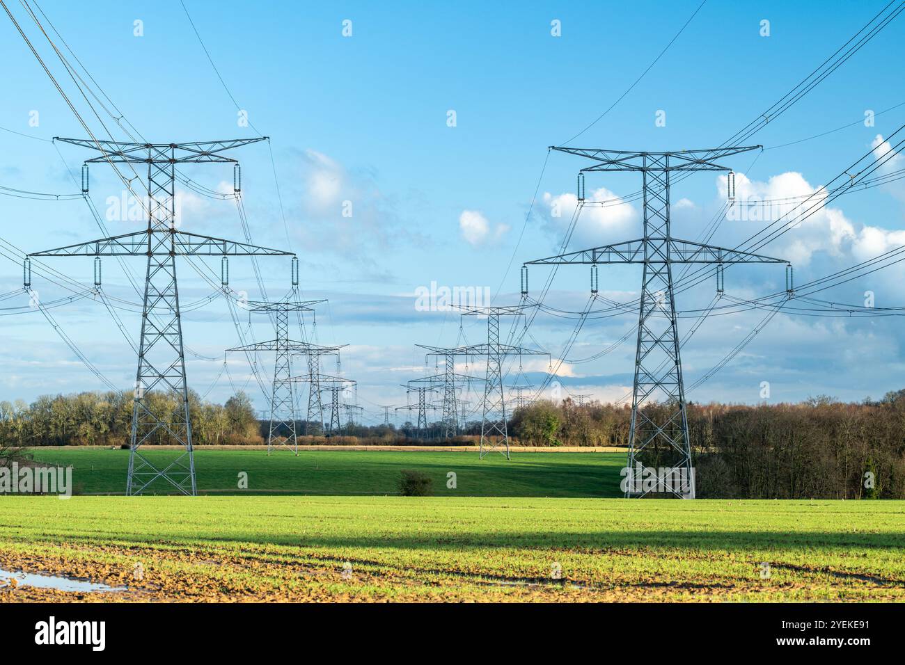 Ultrahochspannungsmasten auf dem Land, Illustration der elektrischen Übertragung, hoch- und sehr-Hochspannungsleitungen, Strommasten Stockfoto
