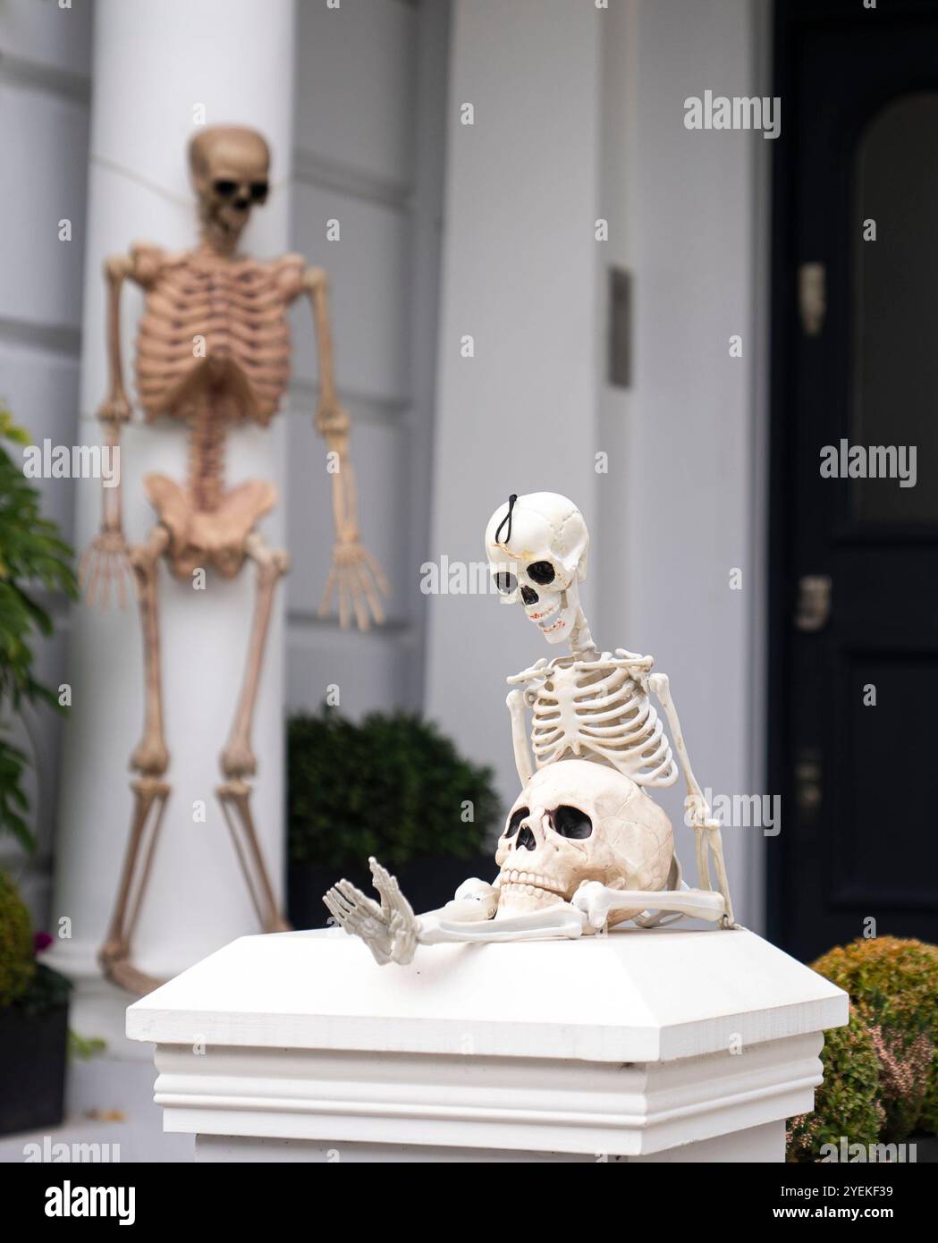 Ein zu Halloween dekoriertes Haus am Elgin Crescent in Notting Hill, West London, bereit, Trick oder Treatter an All Hallows' Eve zu begrüßen. Bilddatum: Donnerstag, 31. Oktober 2024. Stockfoto