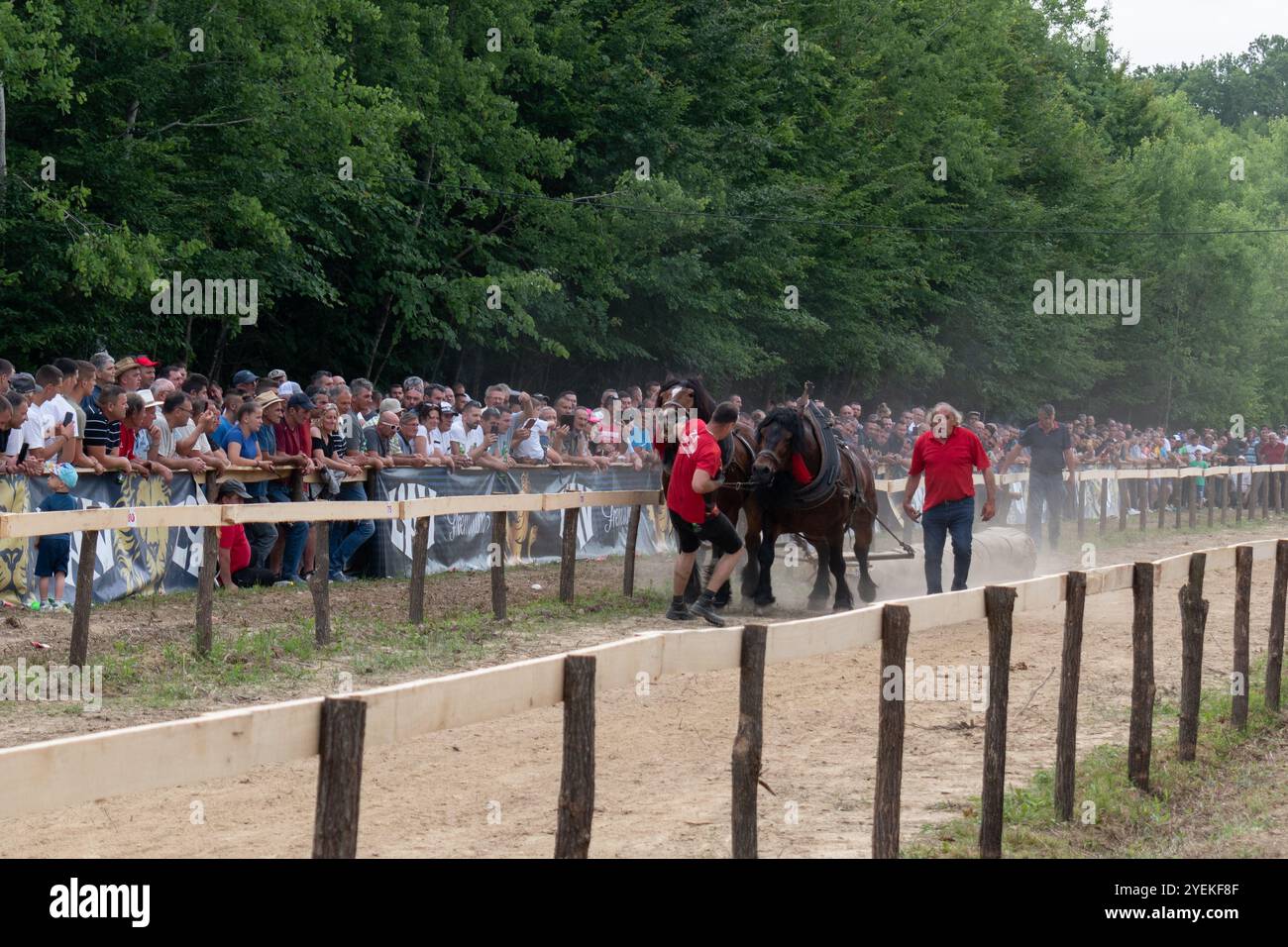 Mit Pferden, Pferdestärken-Demonstration Stockfoto