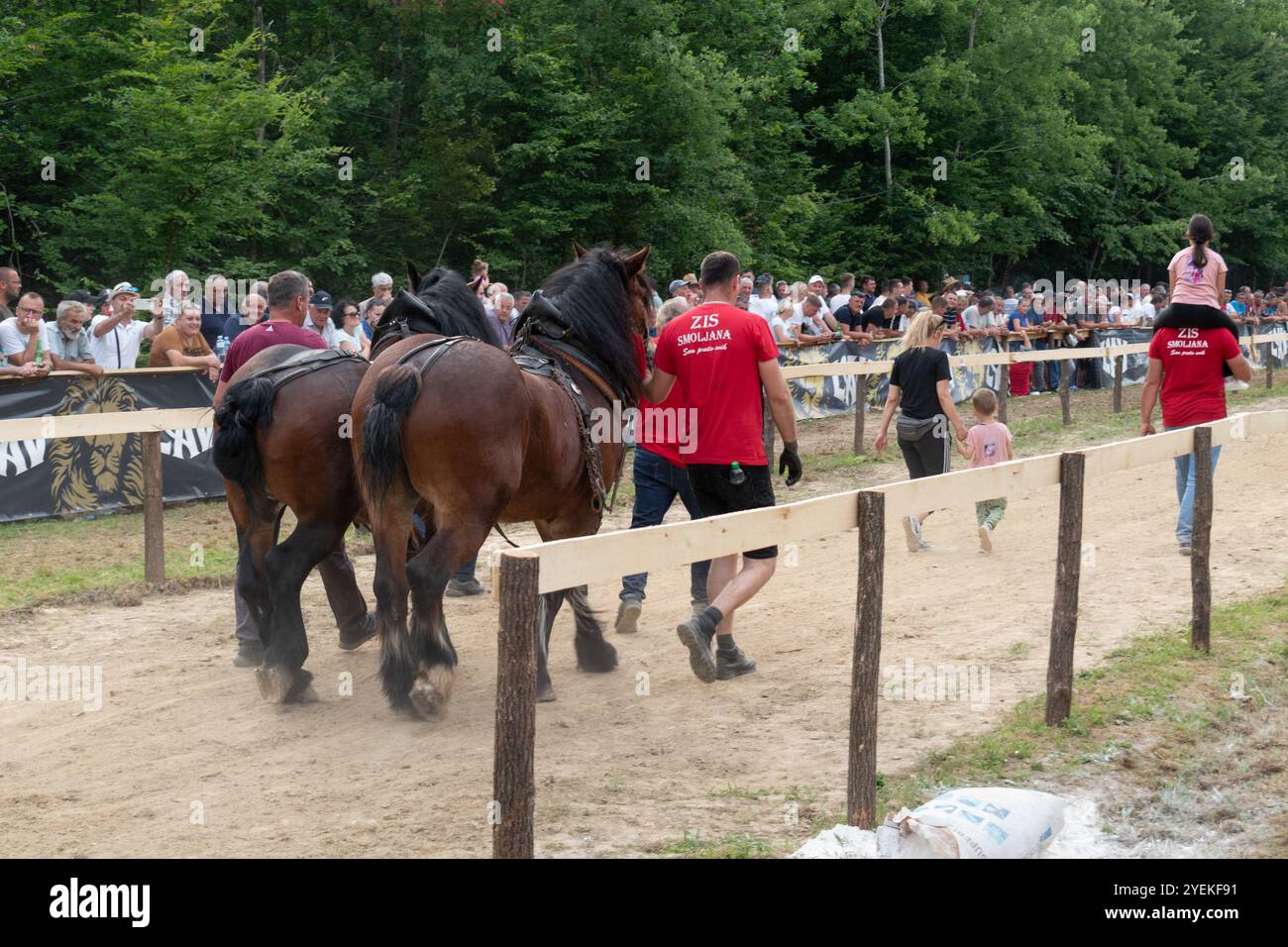 Besitzer zeigen ihr Pferd beim Log Pull Event Stockfoto