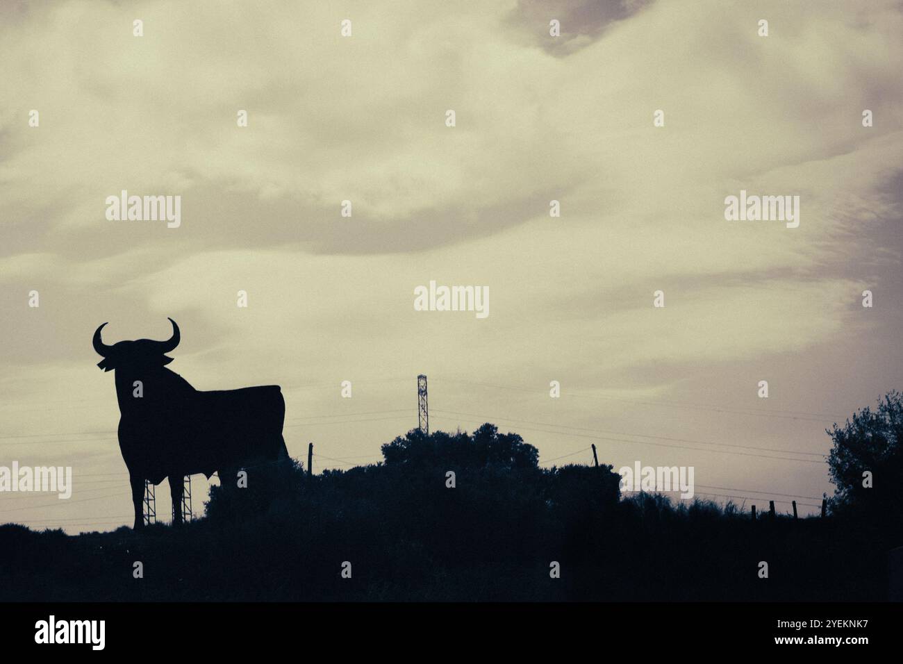 El Toro de Osborne Bulle Stockfoto