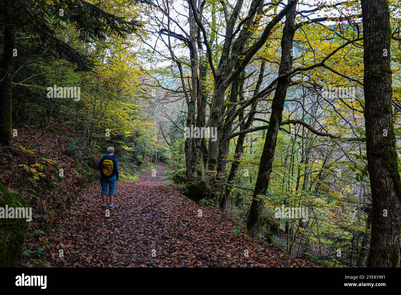 Das Orlu-Tal im Herbst in der Ariege, in den französischen Pyrenäen, Frankreich Stockfoto