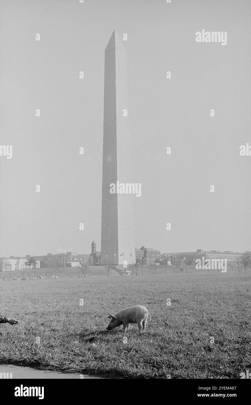 Yippee-Demonstration. Washington DC., USA. 16. Januar 1969 die Youth International Party (YIP), deren Mitglieder allgemein Yippies genannt wurden, war ein amerikanischer jugendorientierter radikaler und konterkultureller revolutionärer Ableger der Redefreiheit und Antikriegsbewegungen der späten 1960er Jahre Stockfoto