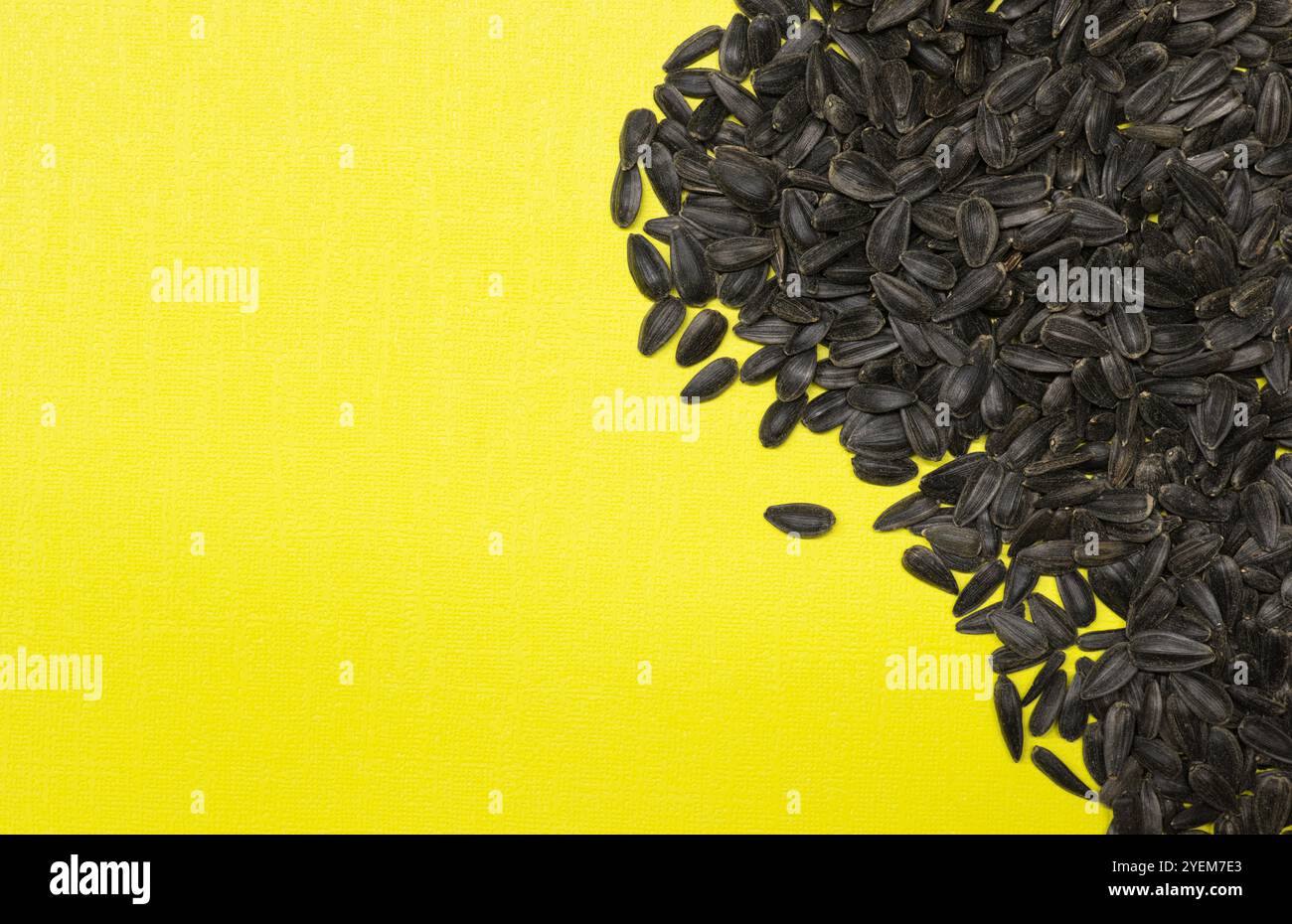 Ganze Sonnenblumenkerne aus schwarzem Öl, verstreut auf gelbem Hintergrund mit Kopierraum. Stockfoto