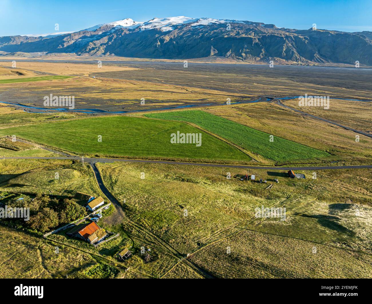 Weidende Schafe, Blick über Wiesen zum Gletscher Eyjafjallajökull, Fljotsdalur Valley, Island Stockfoto