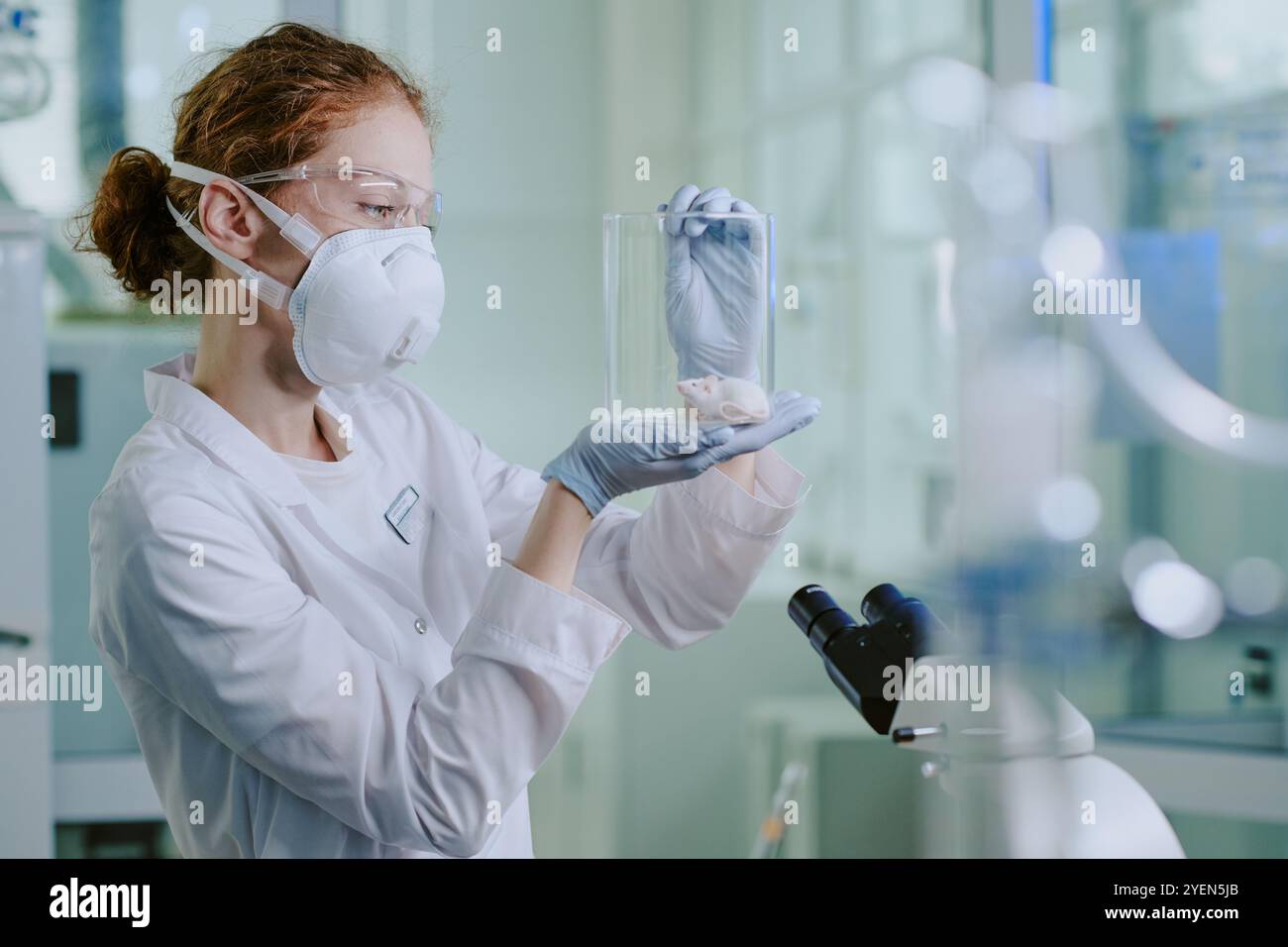 Forscher mit Schutzausrüstung und durchsichtigem Behälter mit einer Labormaus im wissenschaftlichen Labor, die Proben mit fokussiertem Ausdruck beobachten Stockfoto