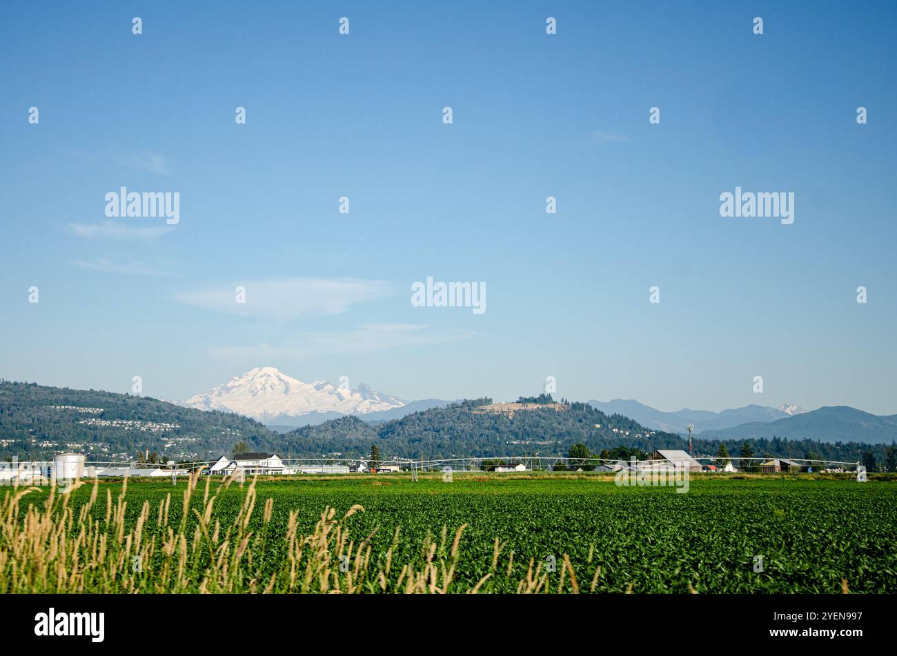 Landwirtschaftsbetriebe in Mission, Fraser Valley, British Columbia, Kanada Stockfoto