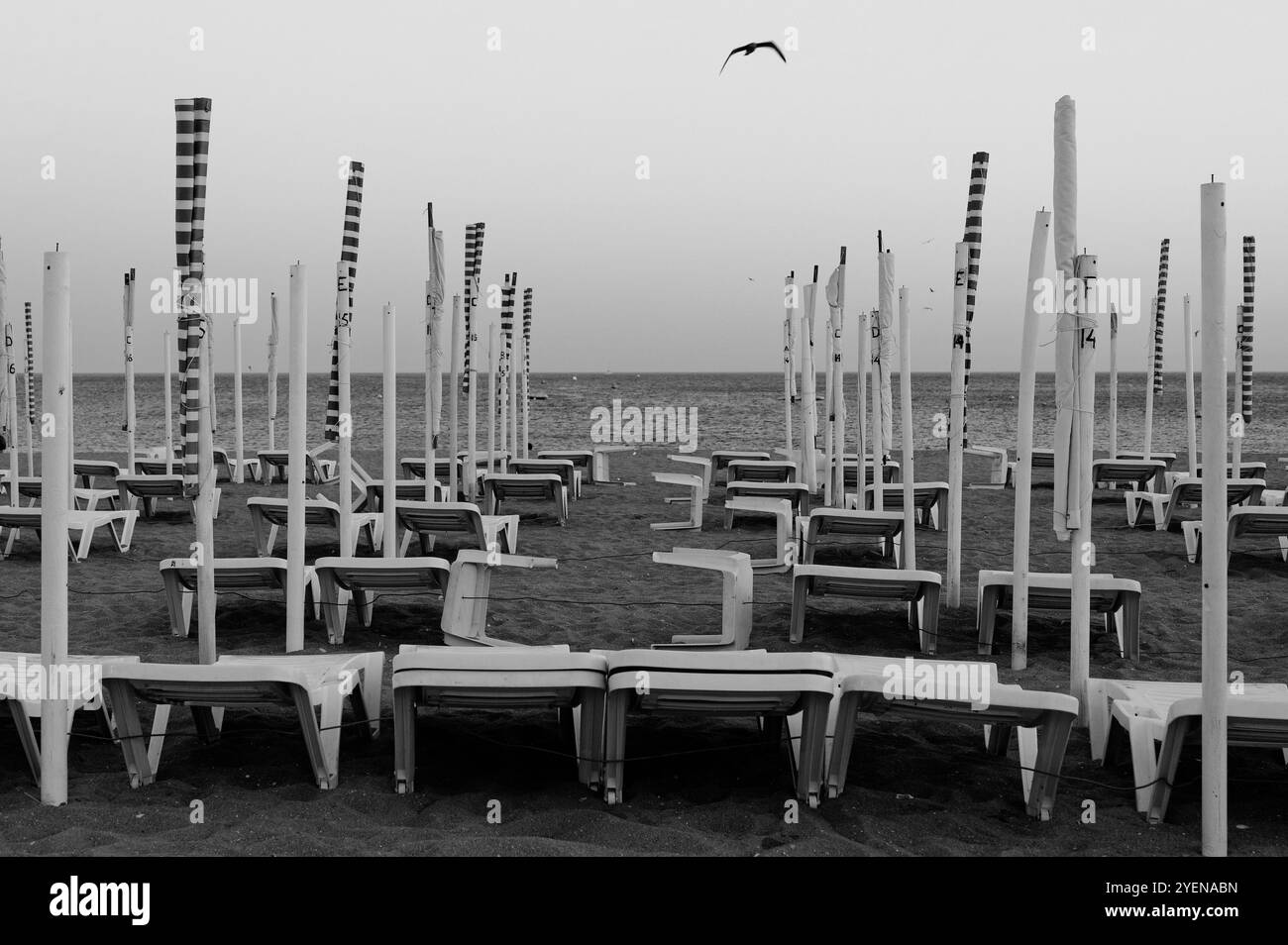 Monochromer Blick auf leere Strandliegen mit Blick auf das Meer in Albufeira, die eine ruhige Atmosphäre in der Nebensaison einfangen Stockfoto