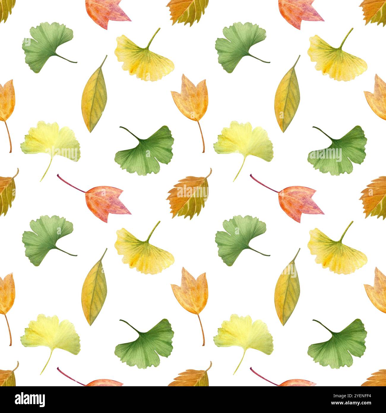Ginkgo, Herbst Blätter nahtloses Muster isoliert auf weißem Hintergrund. Hochwertiges handgemaltes, detailliertes strukturiertes Aquarell, perfekt für Textilien Stockfoto