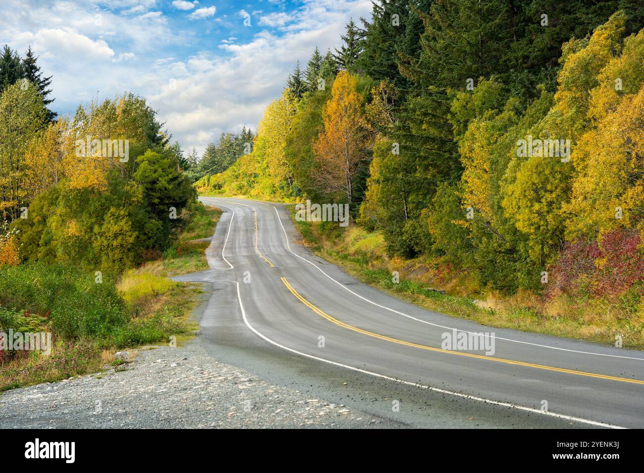 Leere Landstraße mit Herbstfarben in Haines, Alaska Stockfoto