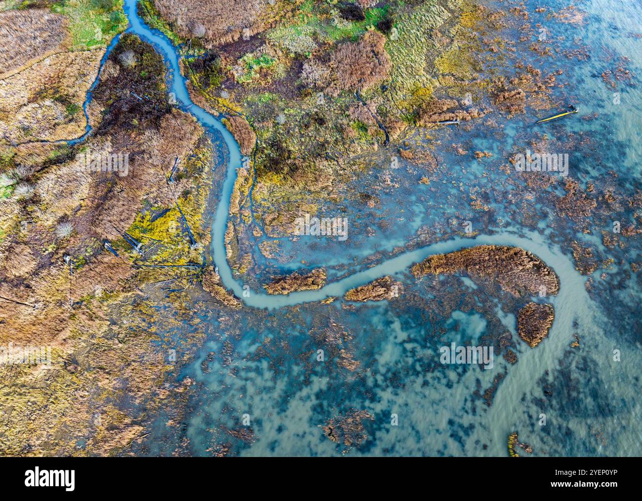 Aus der Vogelperspektive auf das Wattenmeer an der Mündung des Skagit River in der Nähe von La Conner, Washington, USA Stockfoto