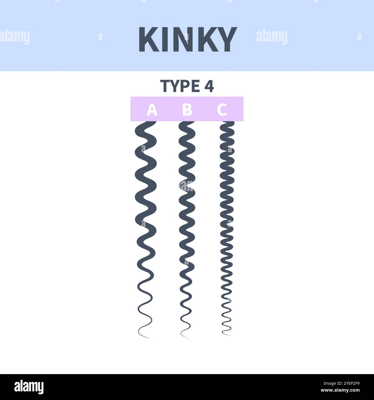 Haartypdiagramm für Haarsträhnen Stock Vektor