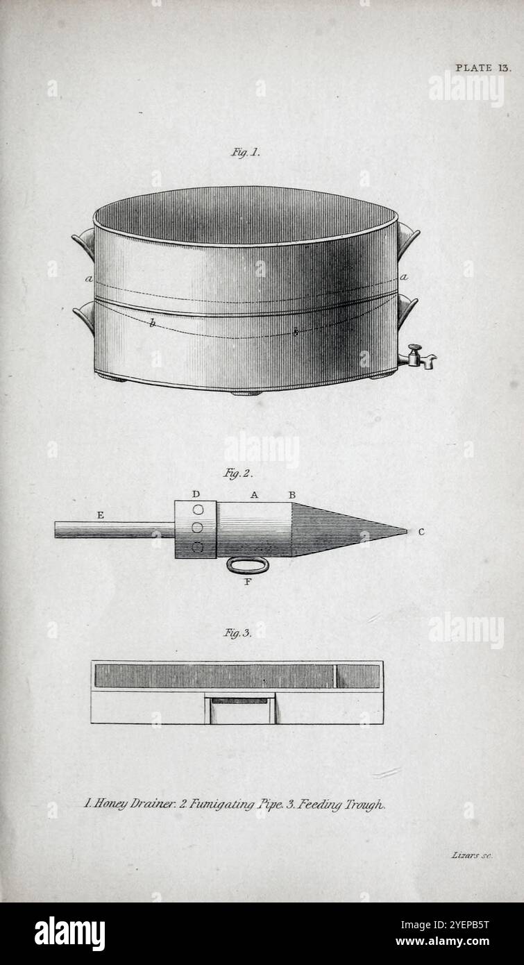 1. Honigabtropffläche 2. Entgasungsleitung 3. Feeding Trogh from the Naturalist's Library Entomology Band VI Bees von Jardine, William, Sir, 1800-1874 Publikation datiert 1835 Stockfoto