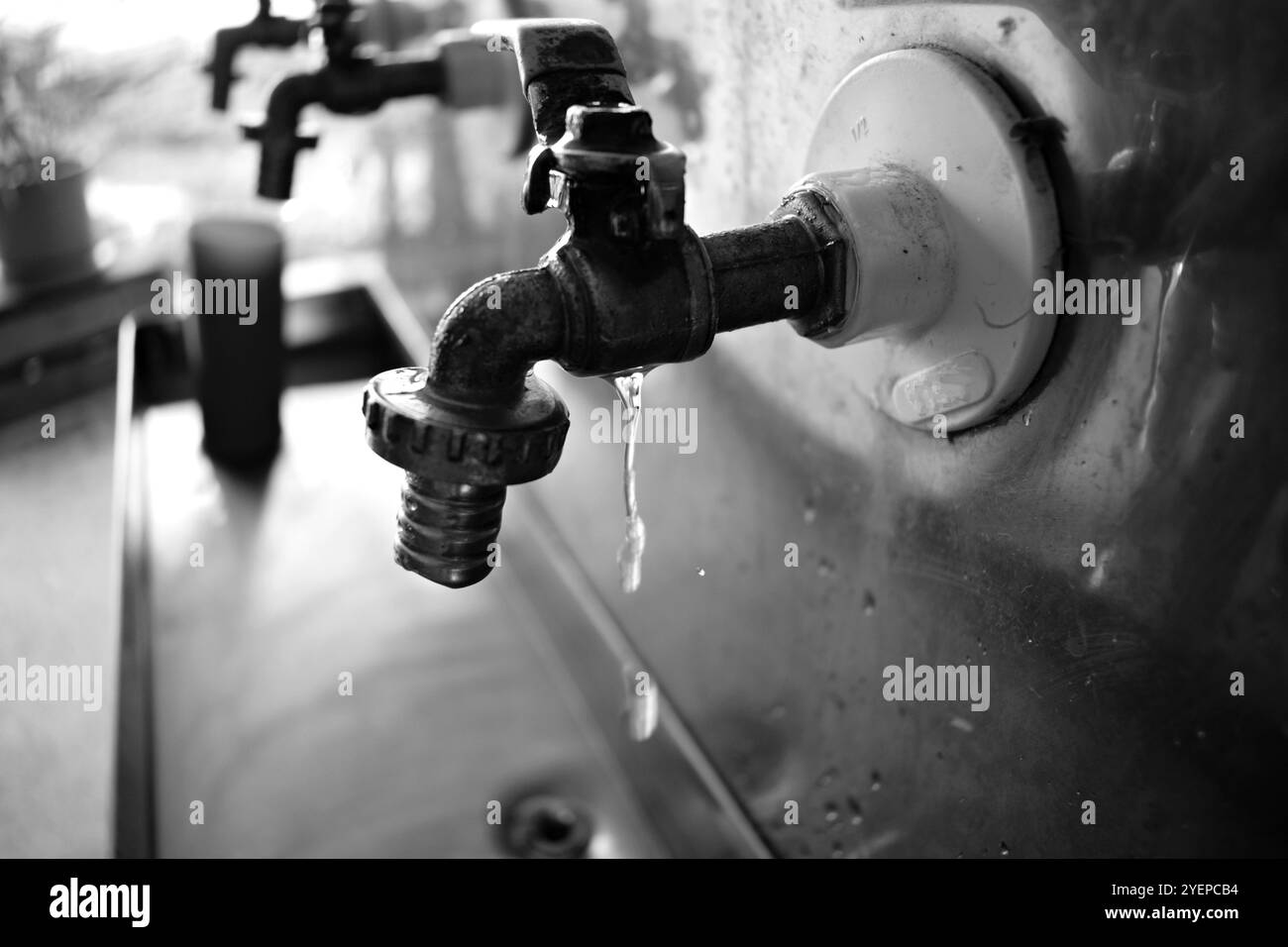 Ein Trinkbrunnen aus Edelstahl mit Metallhähnen in einer Reihe, der erste, der Wasser abgibt, ist geschlossen und die anderen Wasserhähne im Hintergrund sind NOR Stockfoto