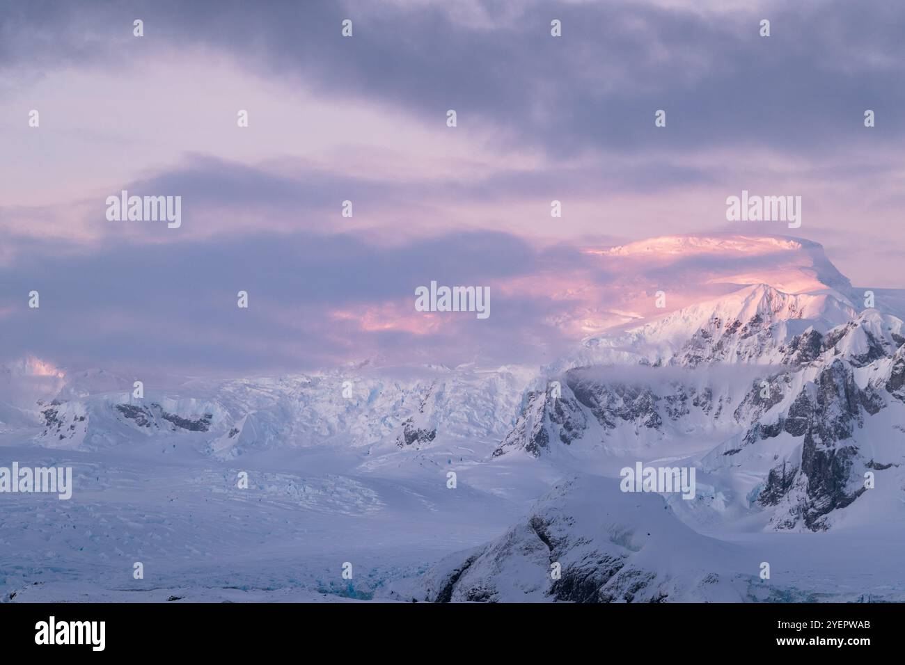 Rosa wunderschöner Sonnenaufgang in der Antarktis. Stockfoto