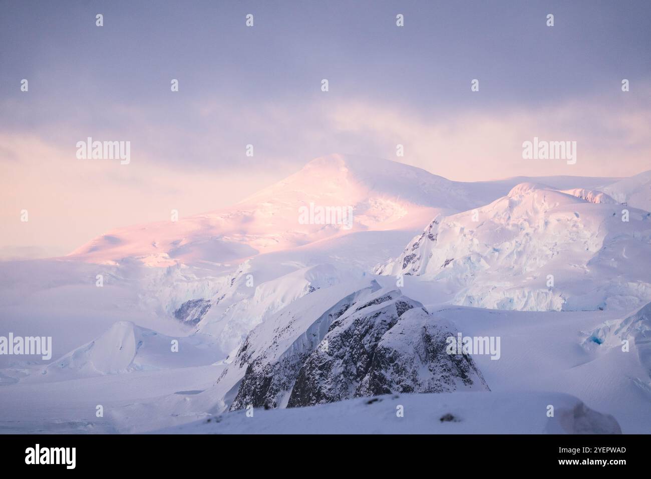 Rosa wunderschöner Sonnenaufgang in der Antarktis. Stockfoto