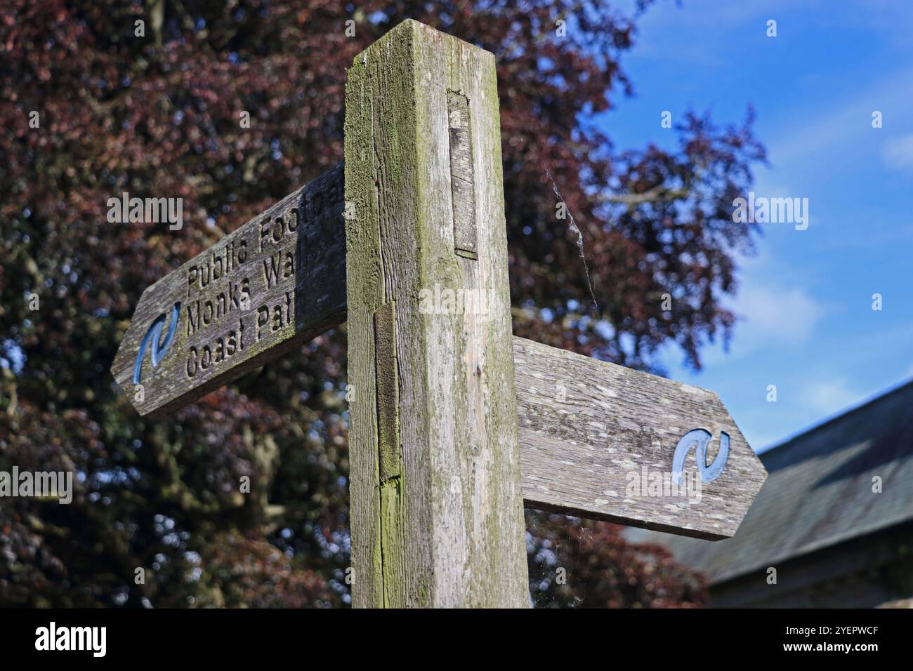 Hölzerne Wegweiser Richtung Coast Path, Warkworth Stockfoto