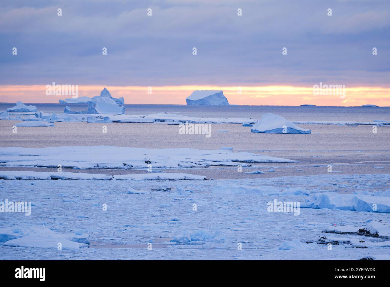 Rosa wunderschöner Sonnenaufgang in der Antarktis. Stockfoto