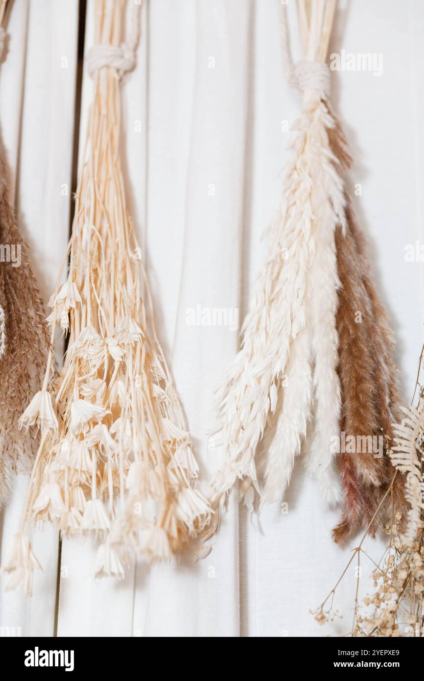 Einzigartiges Pampas-Dekor zu Hause Stockfoto