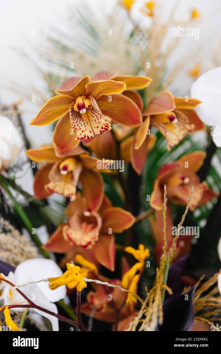 Wunderschönes Arrangement Mit Gebrannten Orangen-Orchideen Stockfoto