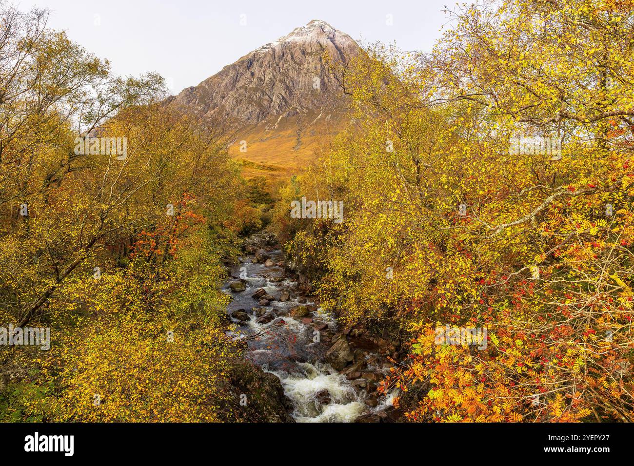 Glen Etive im Herbst mit bunten goldenen Blättern, roten Beeren, schneebedeckten Bergen und fließenden Bächen, Scottish Highlands, Schottland. Horizontal. S Stockfoto