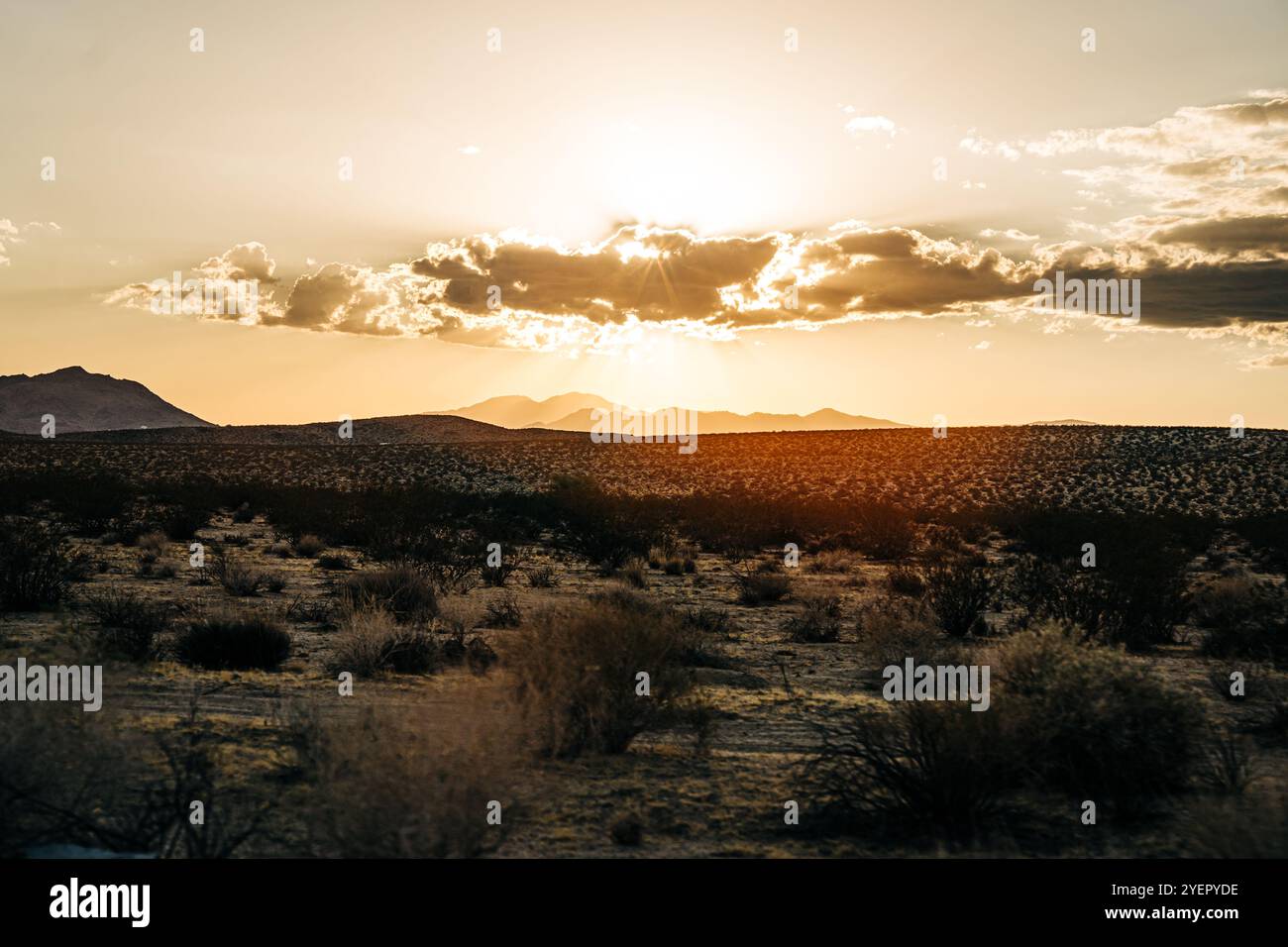 Goldener Sonnenuntergang über einer Wüstenlandschaft mit dramatischen Wolken Stockfoto