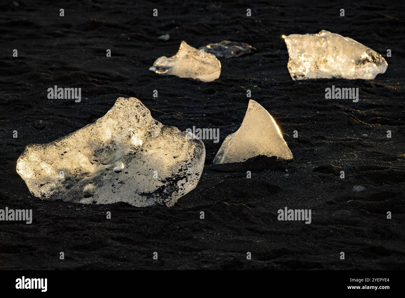 Eisbrocken werden von der Sonne beleuchtet, im Kontrast steht ein schwarzer Hintergrund, Diamond Beach, Joekulsarlon Gletscherlagune oder Joekulsarlon, Südisland Stockfoto