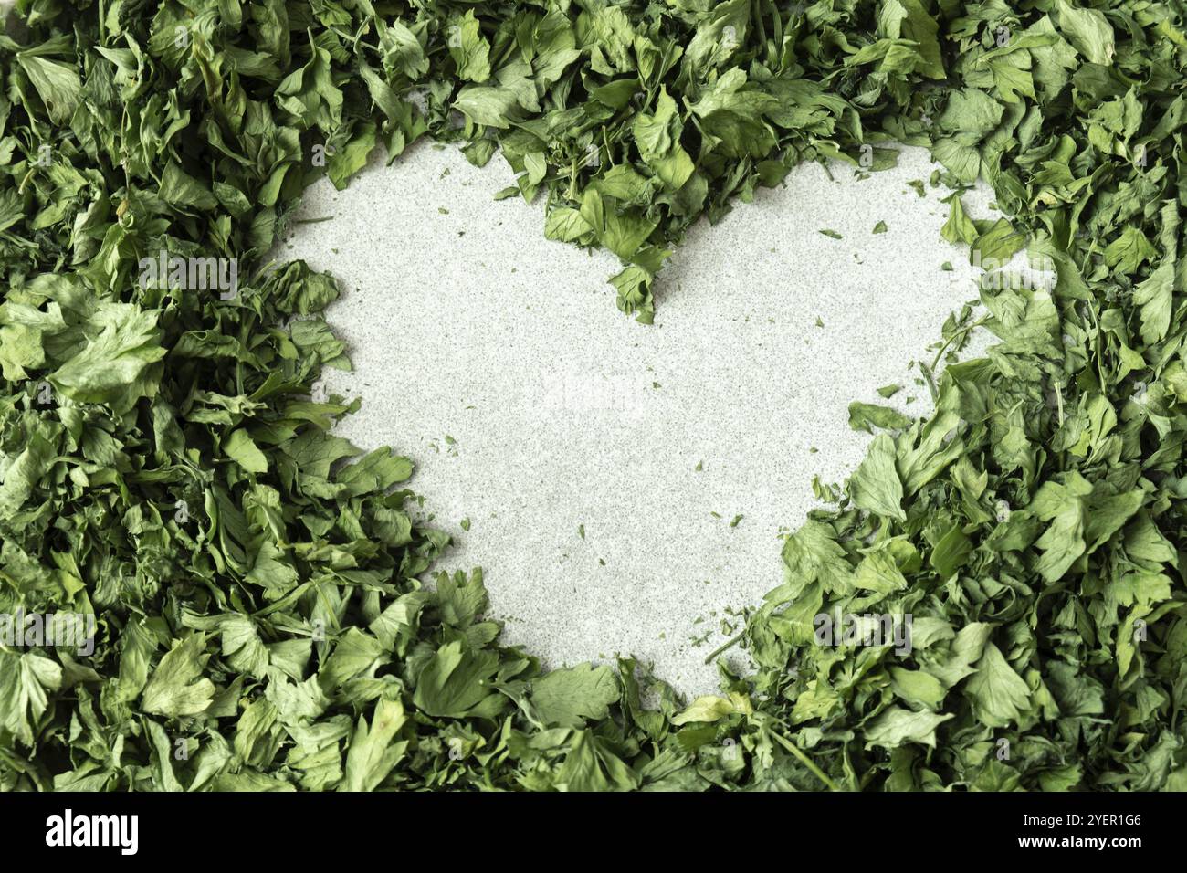 Frische getrocknete grüne Petersilie in Form von Herzadaptogenen Inhaltsstoffen. Kräutermedizin gesunde Ernährung. Superfood-präbiotische Nahrung. Nachhaltiger Eigenanbau Stockfoto