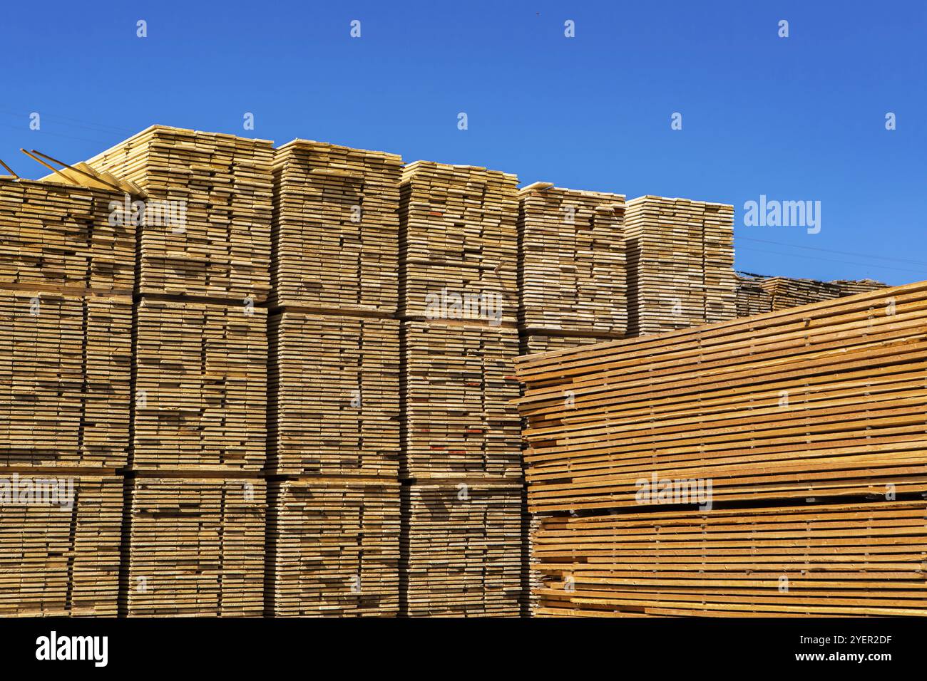 Große Stapel von gesägt und verarbeitet Holz Bretter sind in einem Sägewerk Hof gesehen. Die Schwerindustrie in den kootenays von British Columbia, Kanada. Mit Platz kopieren Stockfoto