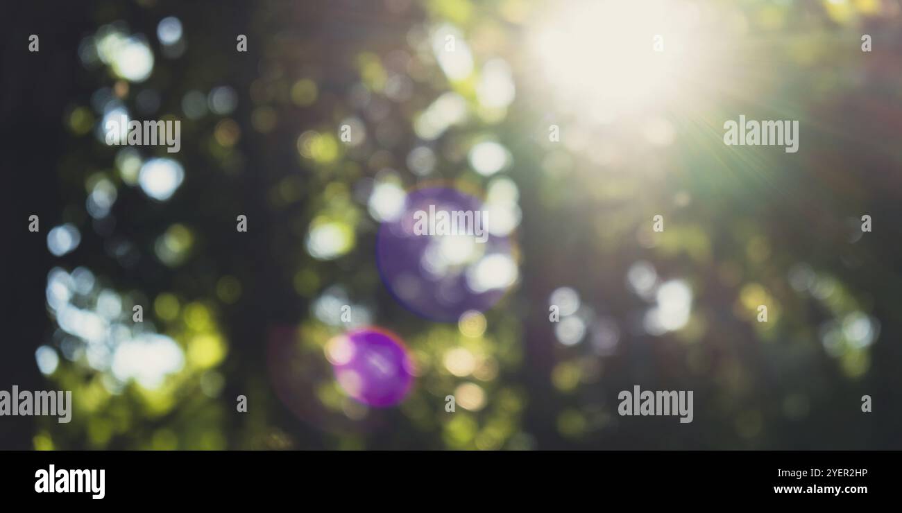 Wunderschönes grünes, lebendiges natürliches Bokeh abstrakter Hintergrund. Sommerkonzept des abstrakten verschwommenen Hintergrunds. Die Sonne, die durch Bäume kommt, ist unscharf Stockfoto